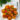 skrzydełka z kurczaka curry z potrawką z marchewki, cebuli i papryki