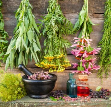 suszone zioła polskie